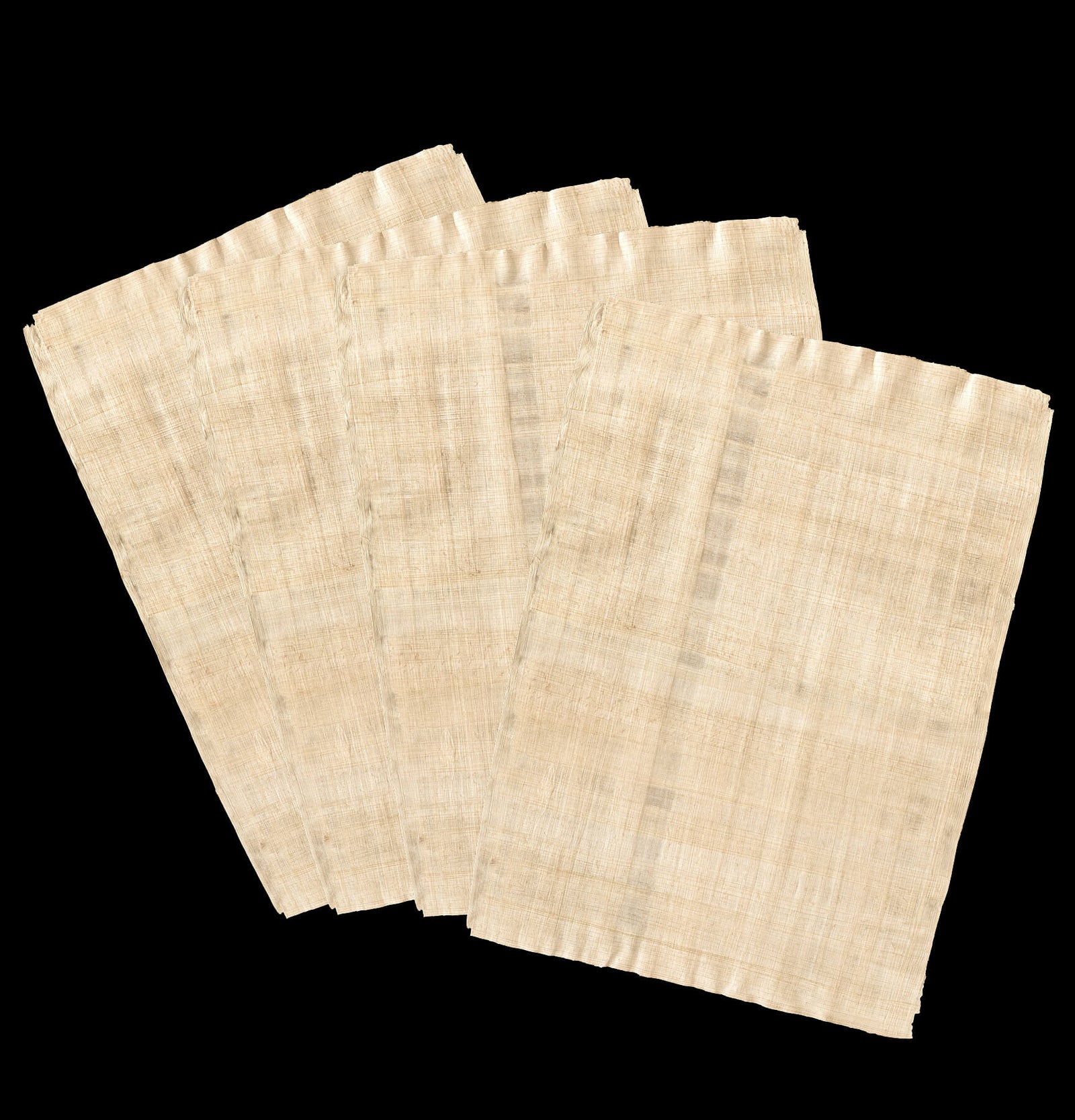 Papyrus